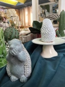 474609037-1210892340551747-5336258187802623144-n