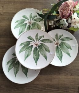 480785573-1231207835186864-6950047333909564635-n